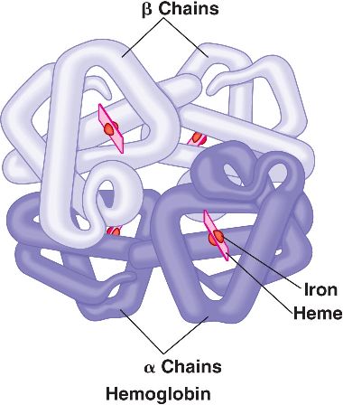 bio1151b.nicerweb.com